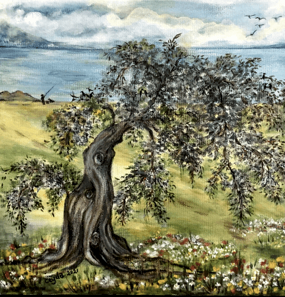 Zeytin Ağacı 25X25cm Tüab - Ceyda Çoksezen